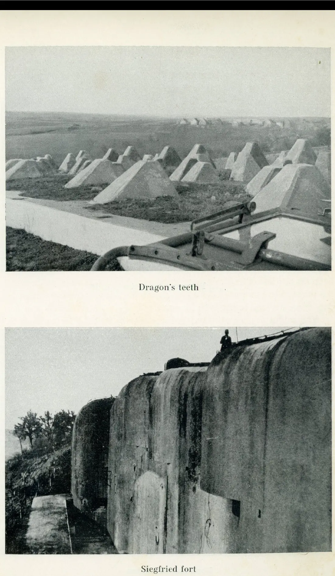 Rows of concrete "dragon's teeth" anti-tank obstacles of the Siegfried Line